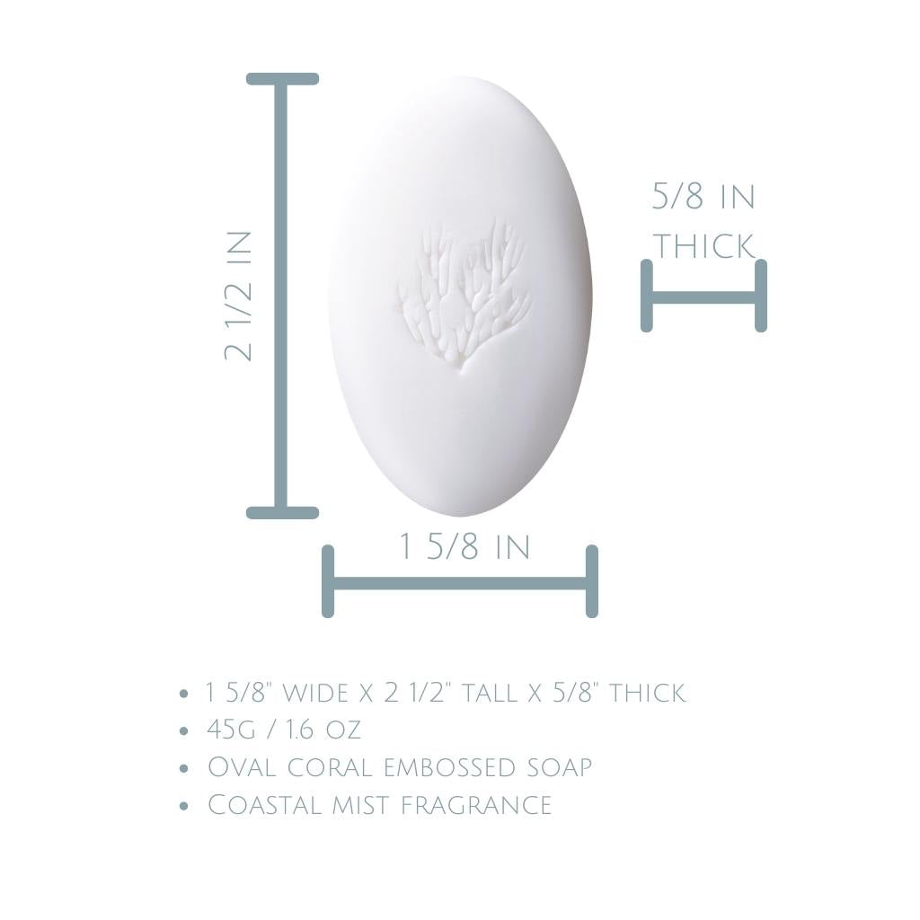 Bleu Haven hotel size bar soap